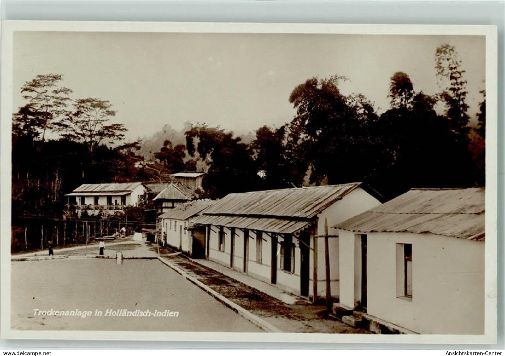 10293176 - Trockenanlage in Hollaendisch-Indien Niederlaendische Kolonien