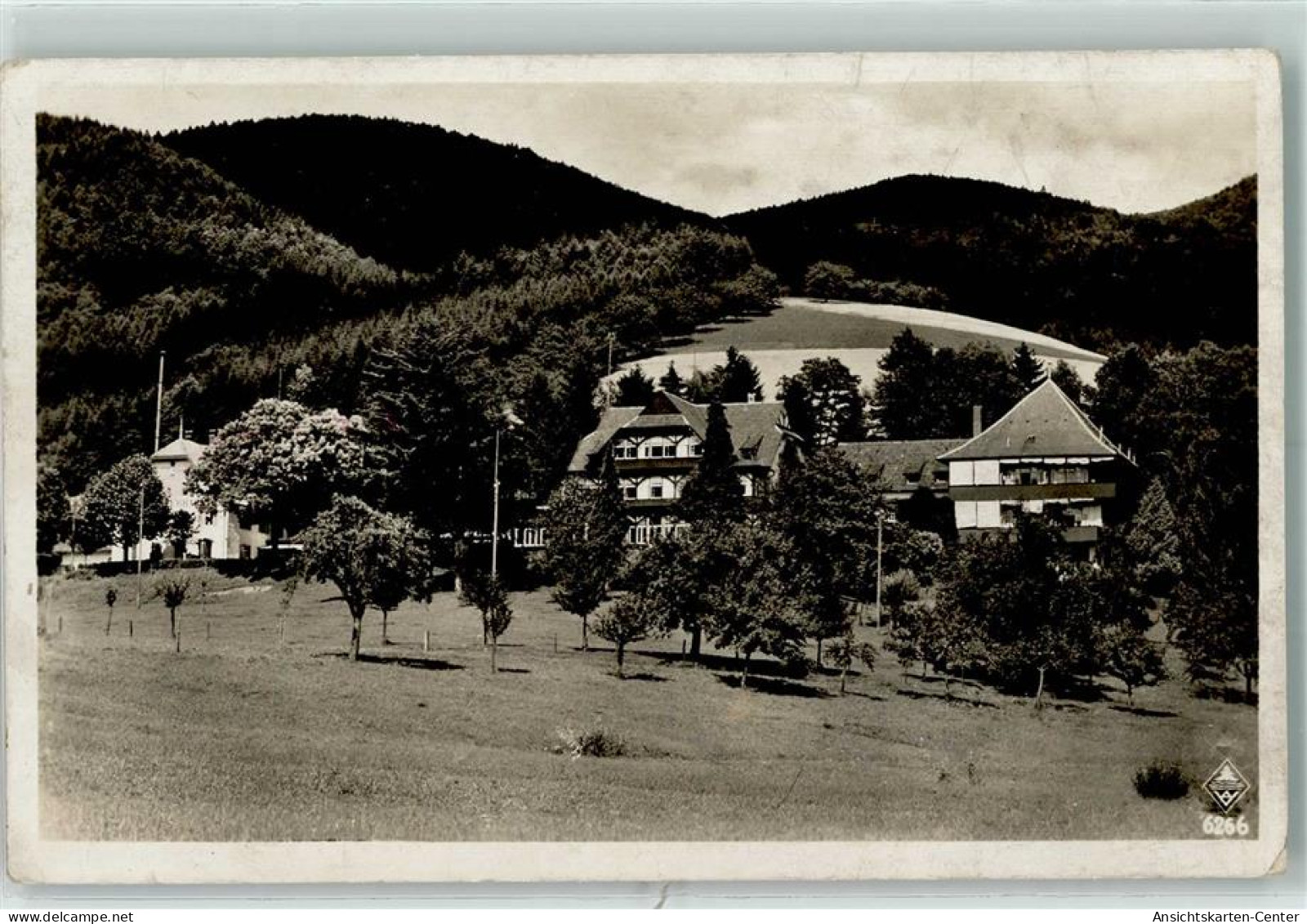 10310077 - Glottertal