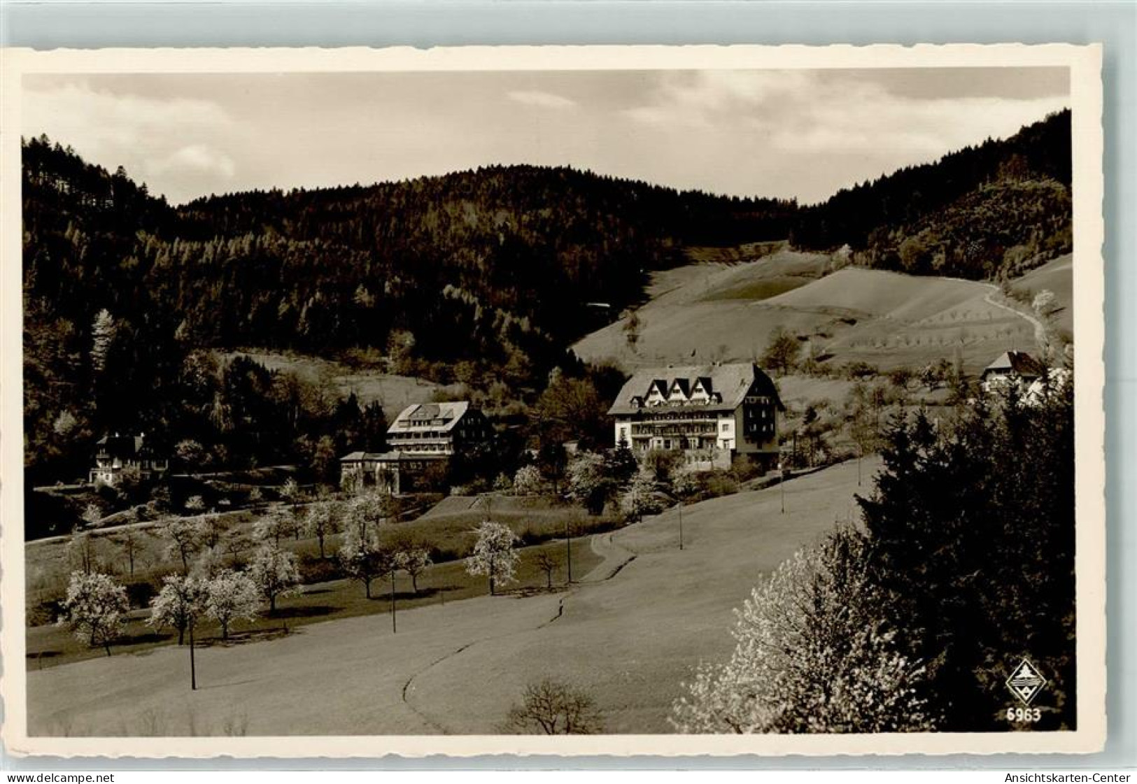 10310079 - Glottertal