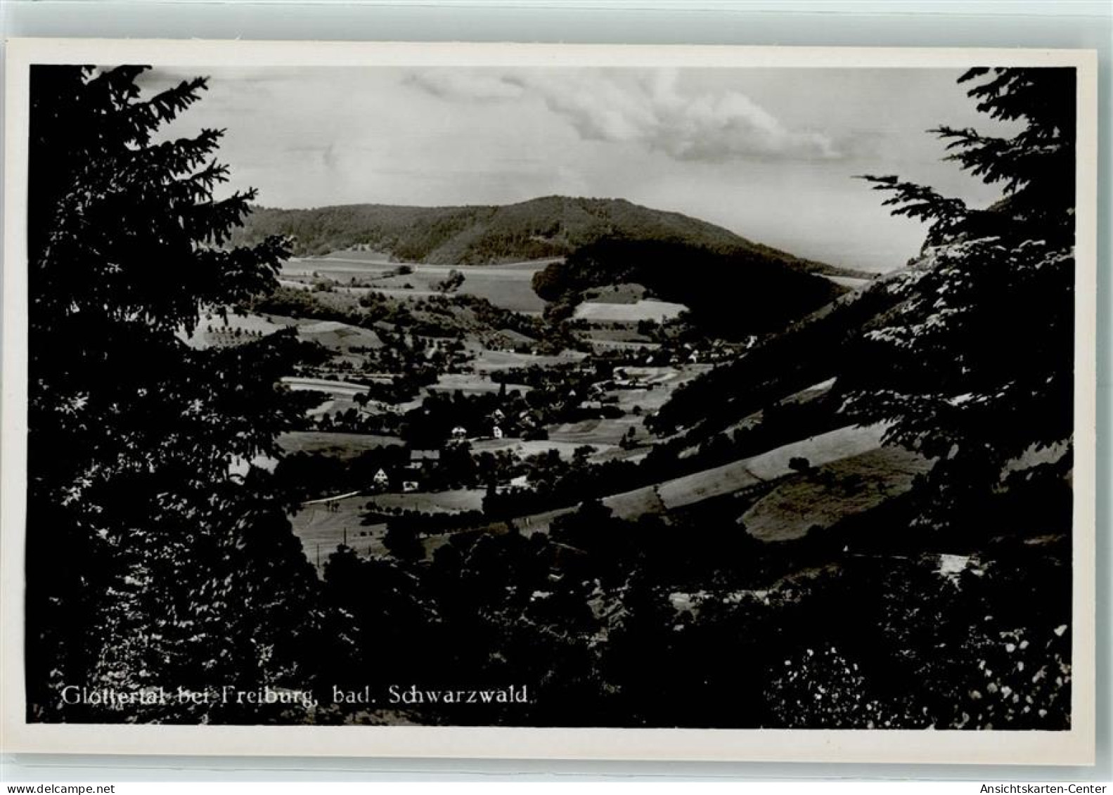 10310086 - Glottertal