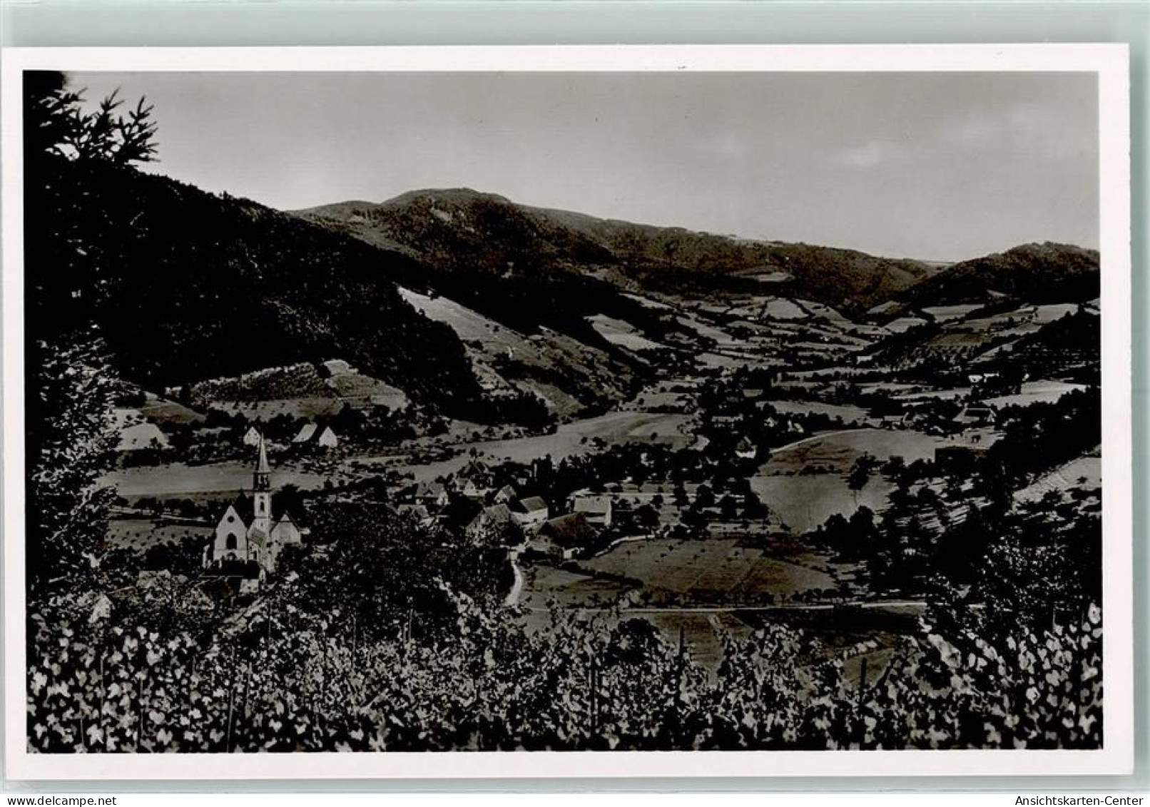 10310089 - Glottertal