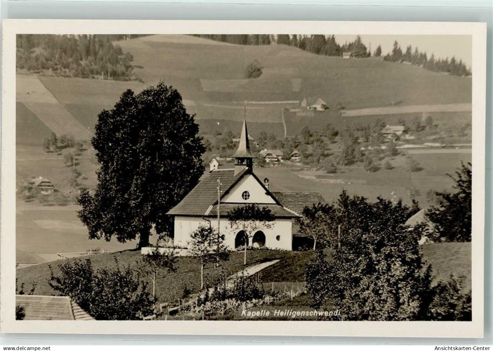 10311554 - Heiligenschwendi