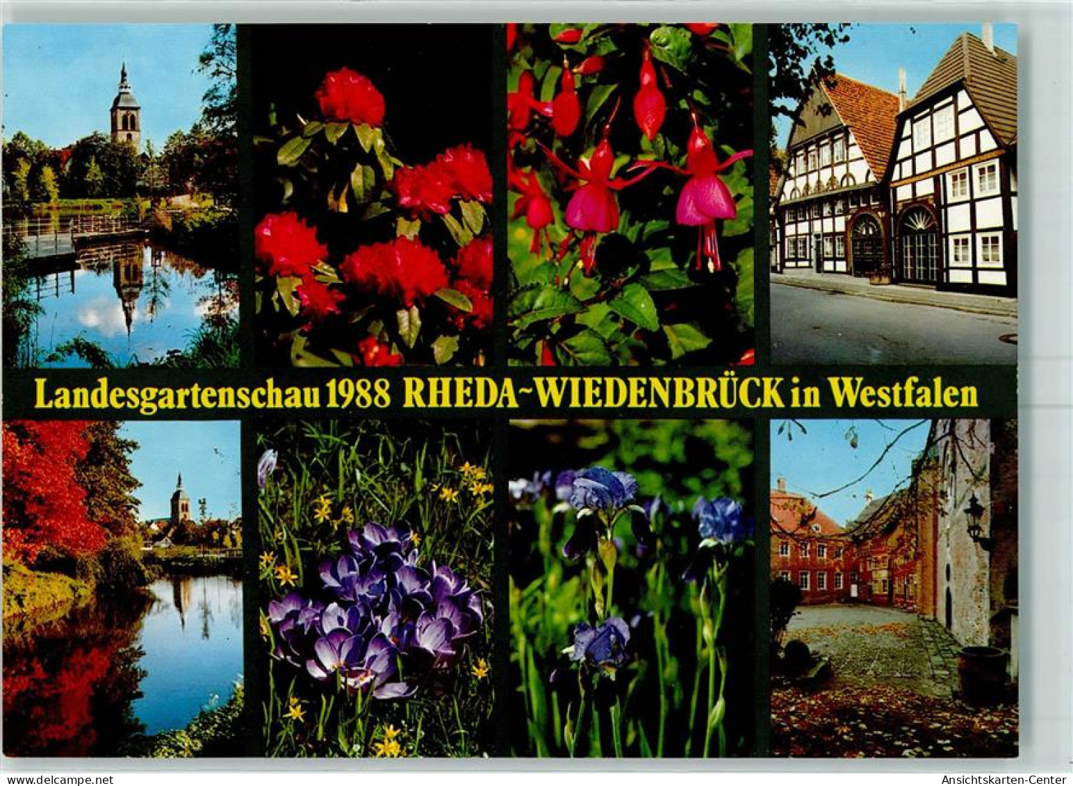 10329177 - Wiedenbrueck
