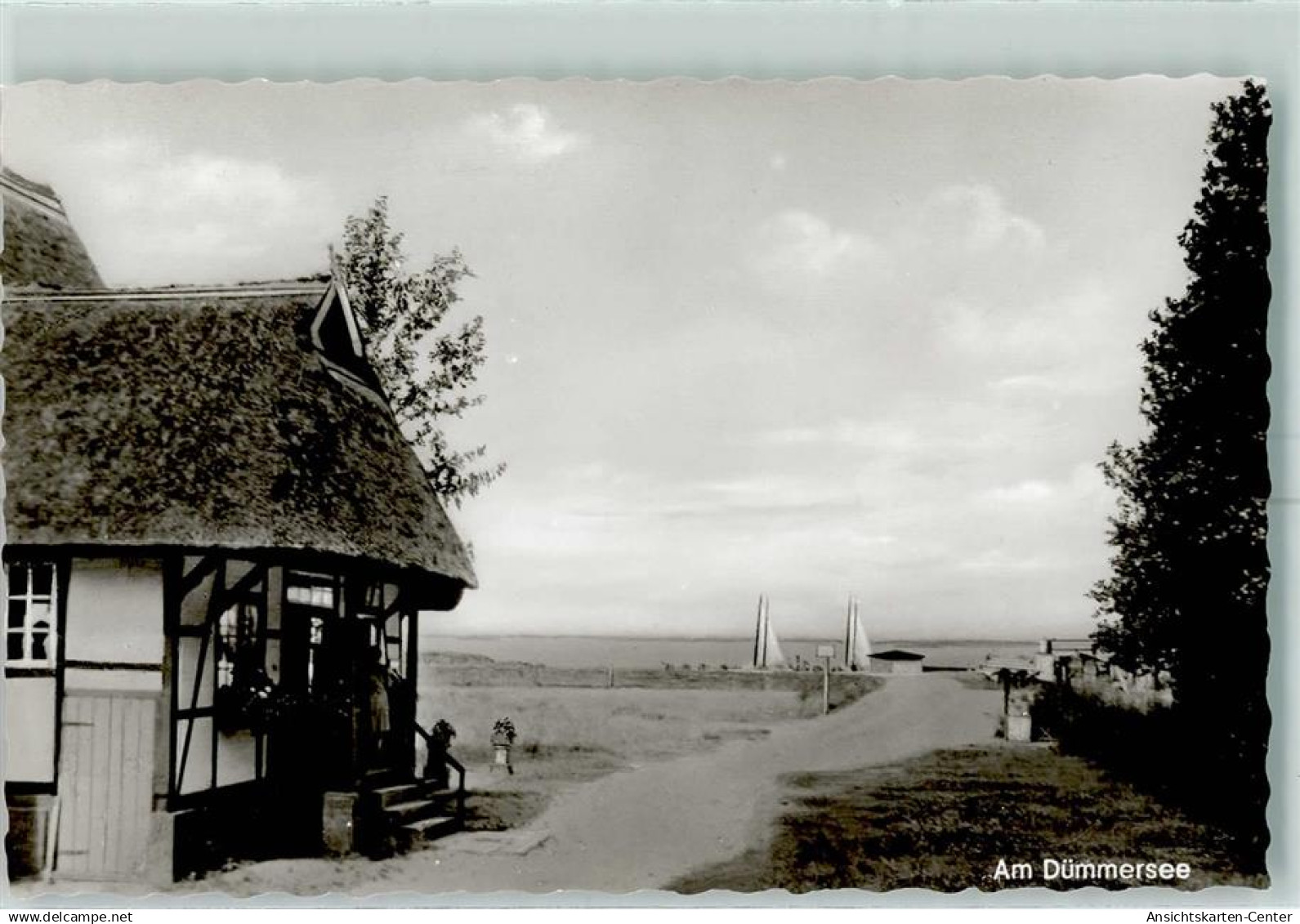 10334118 - Lembruch