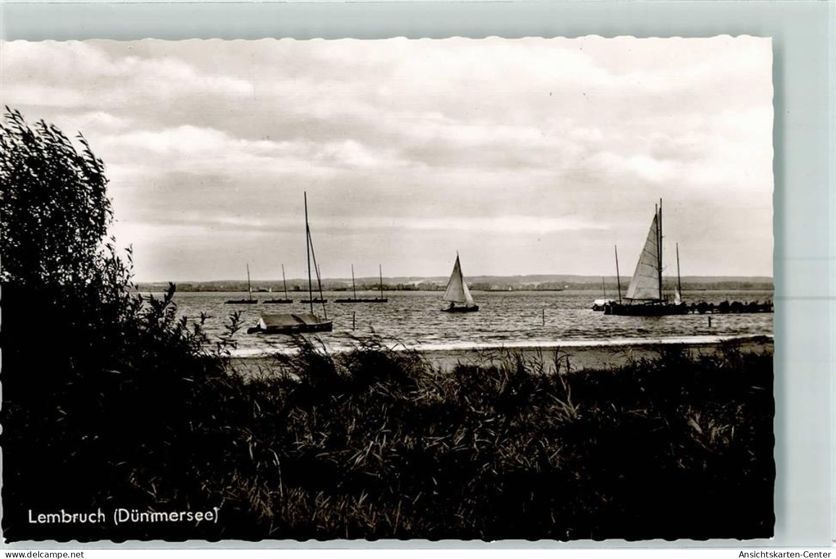 10336720 - Lembruch