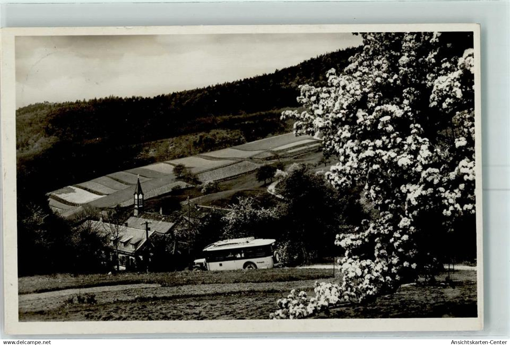 10342542 - Buehl , Baden