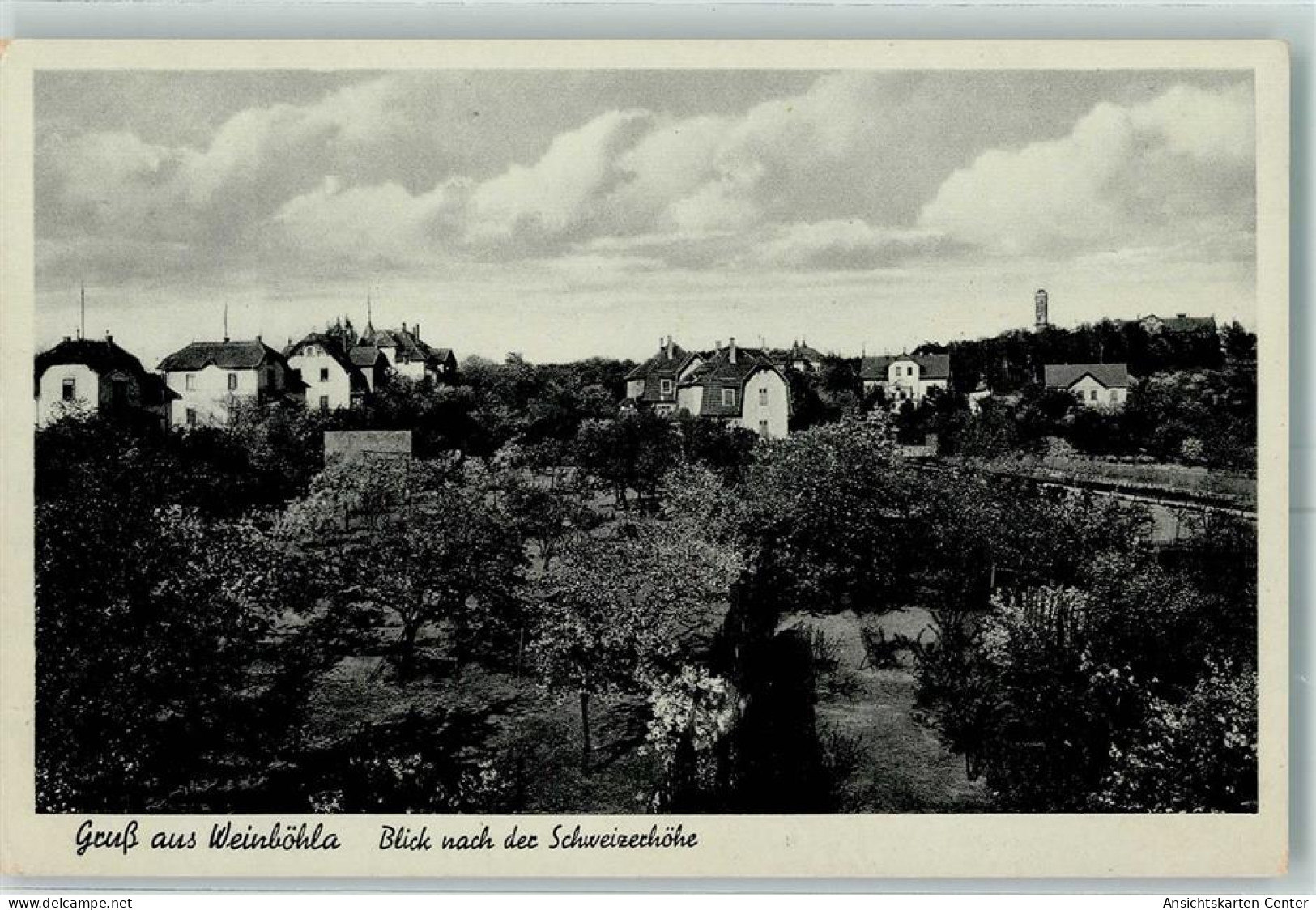 10348279 - Weinboehla