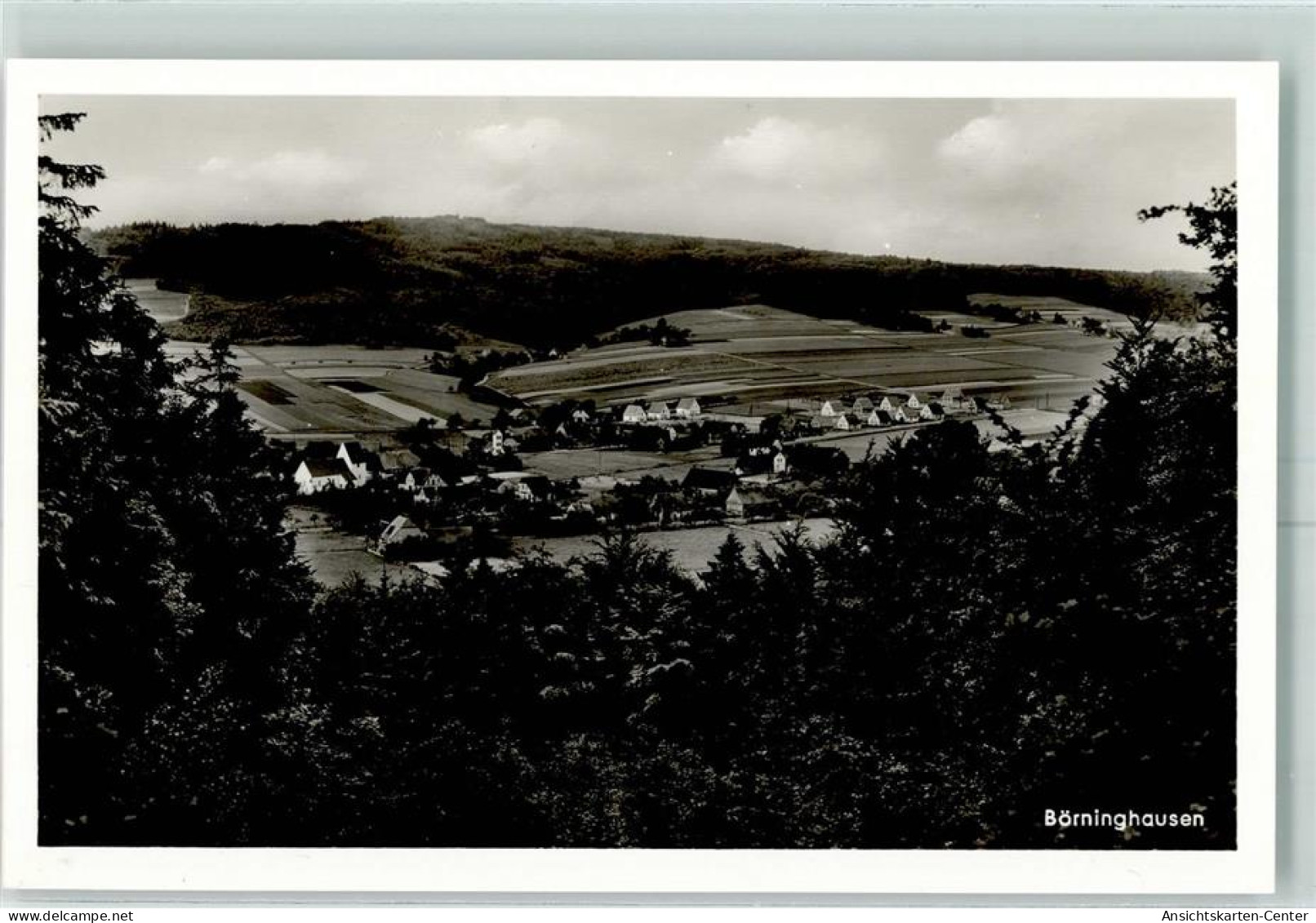 10349817 - Boerninghausen