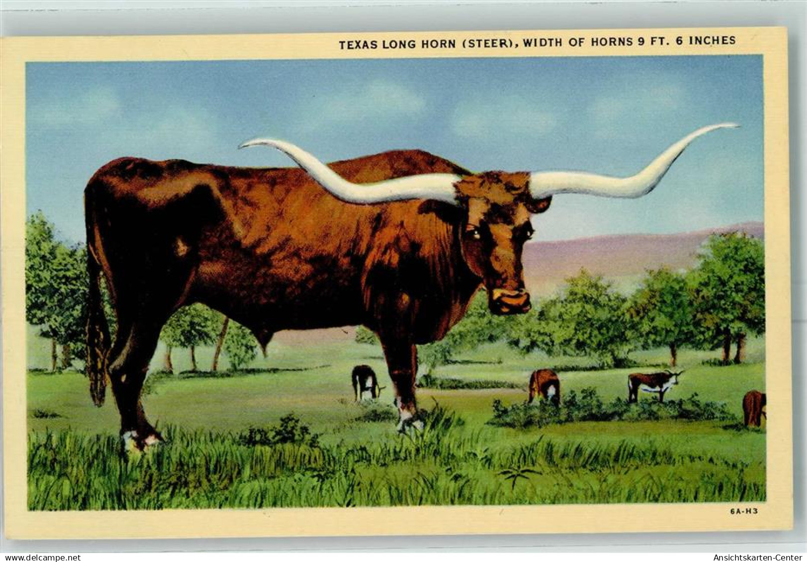 10358975 - Austin