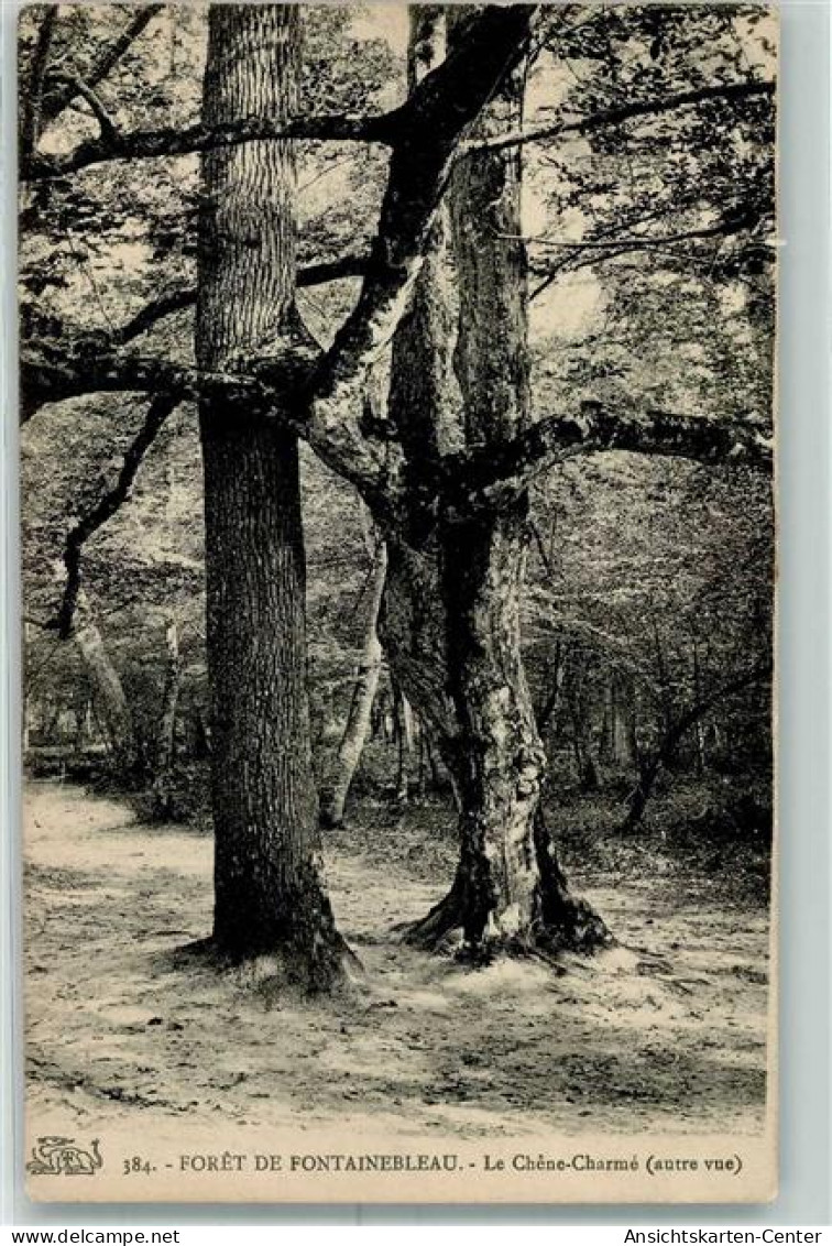 10367728 - Fontainebleau