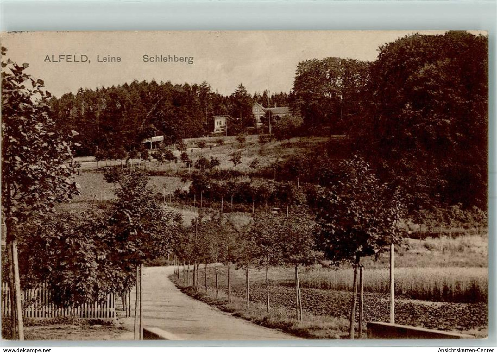 10383356 - Alfeld Leine