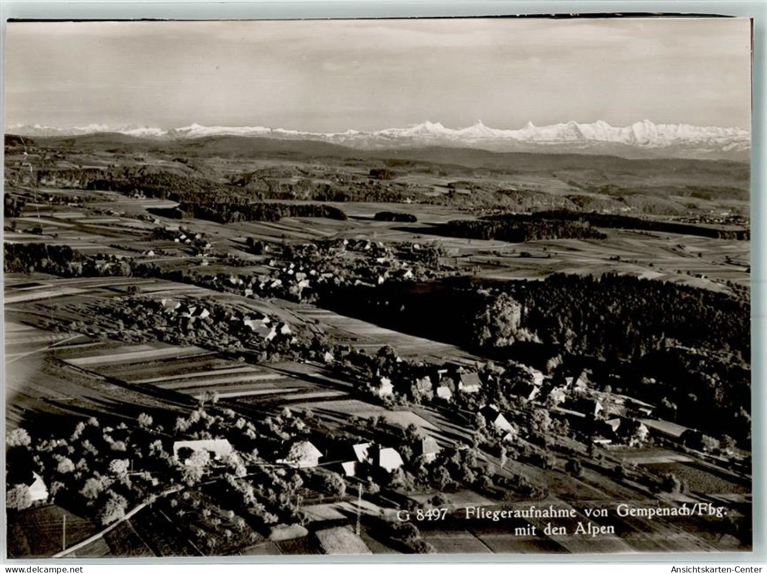 10397840 - Gempenach Buchillon