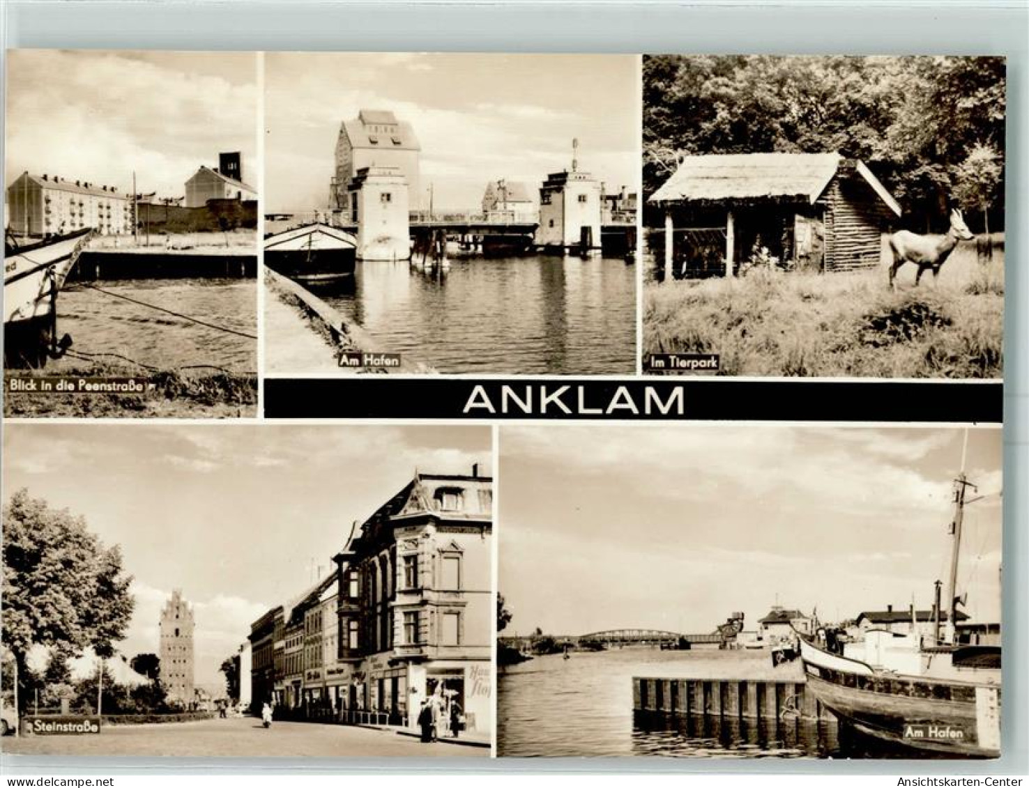 10399166 - Anklam