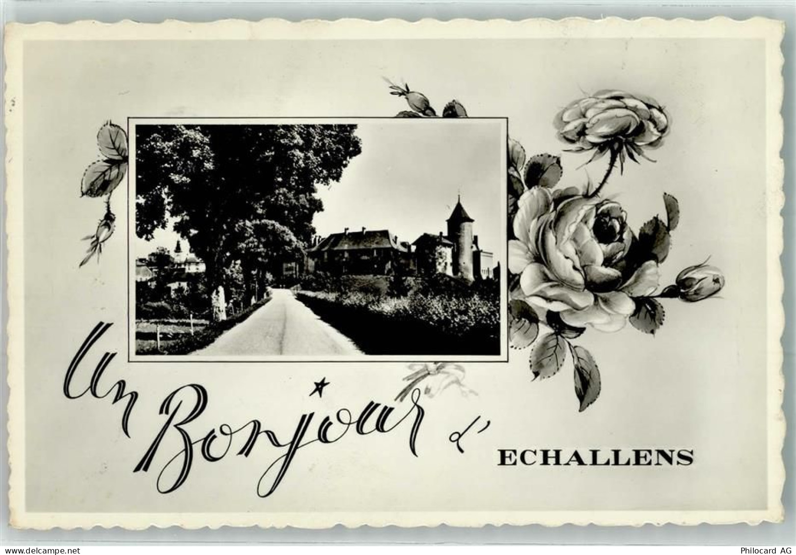 1040 Echallens Passepartout Blumenpassepartout - 10643459