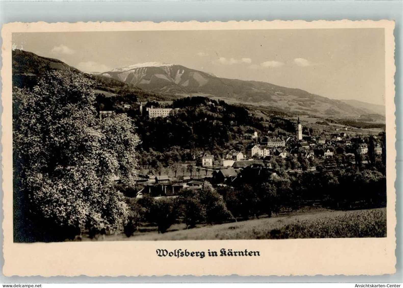 10403046 - Wolfsberg