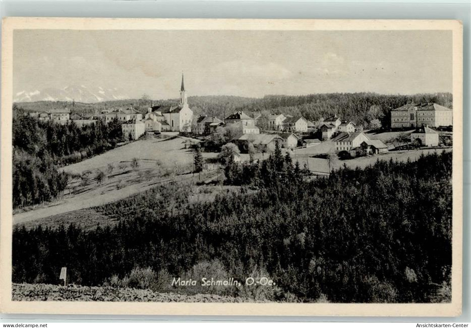 10403779 - Maria Schmolln