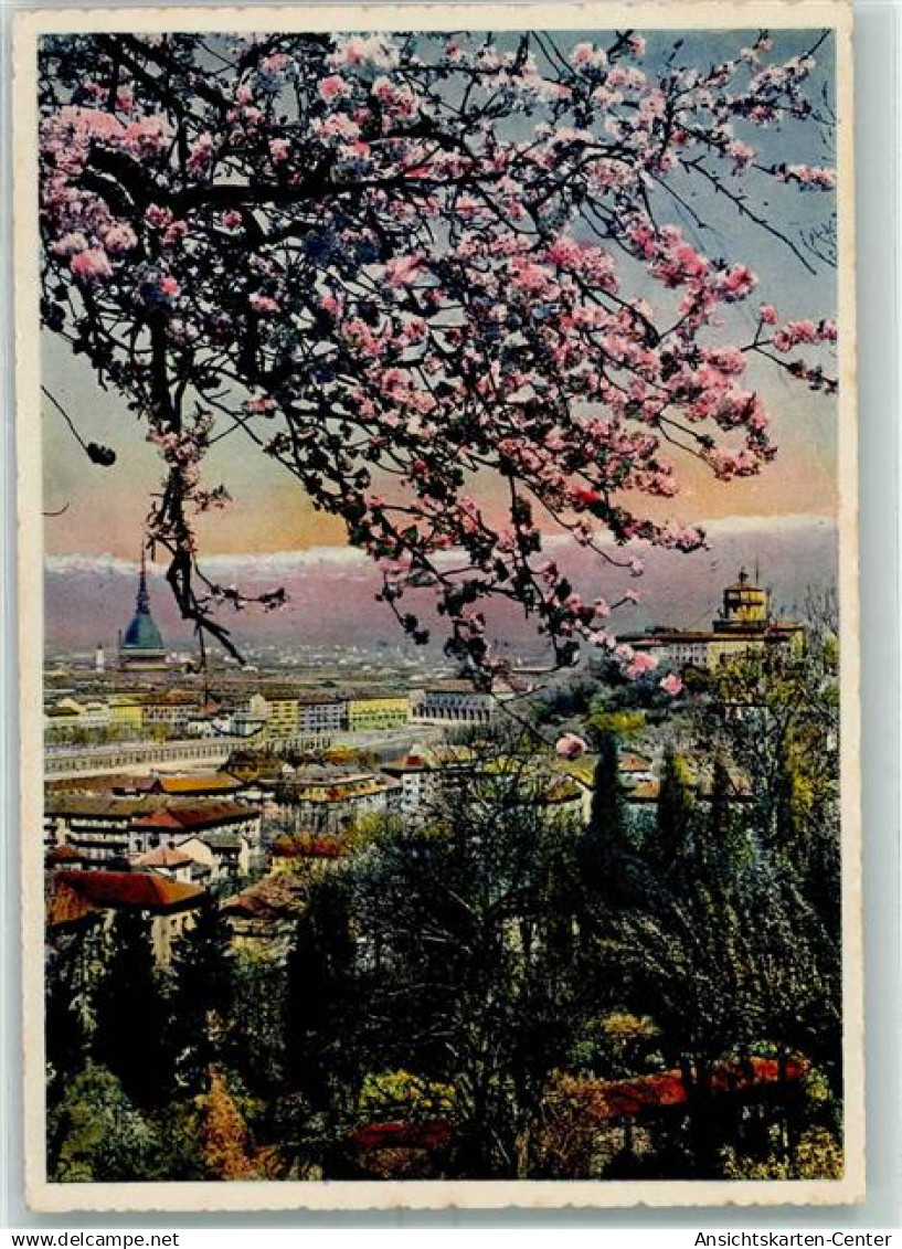 10417855 - Torino Turin