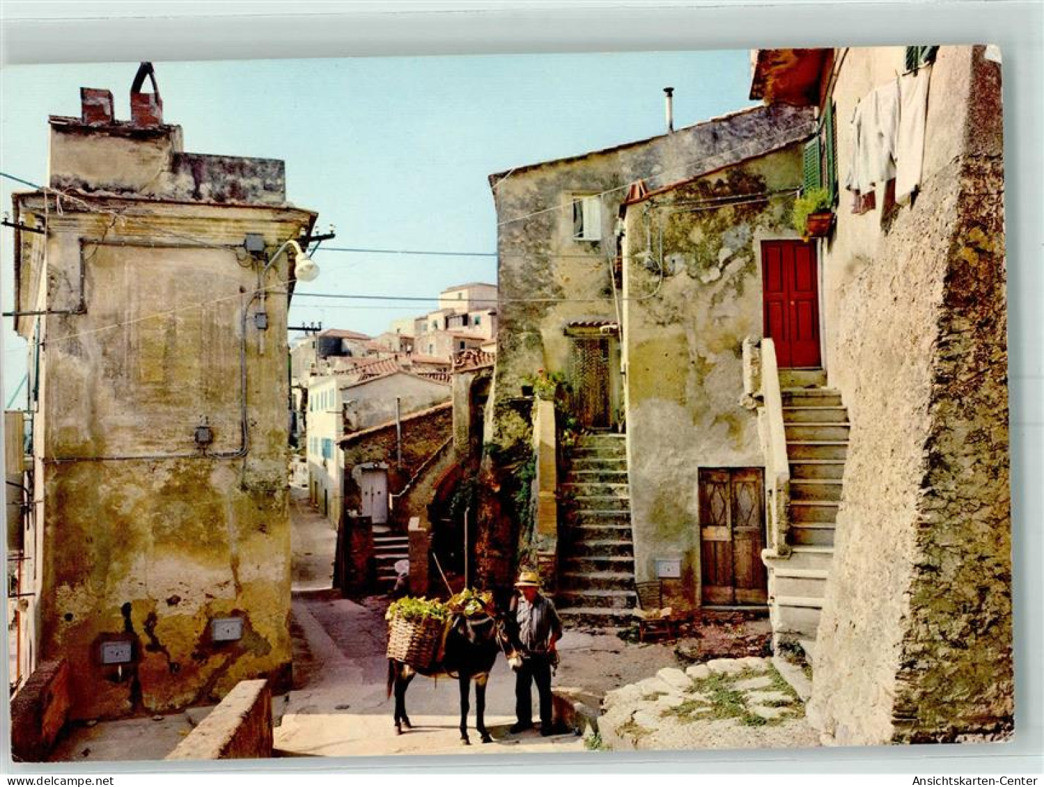 10418020 - Campo nellElba