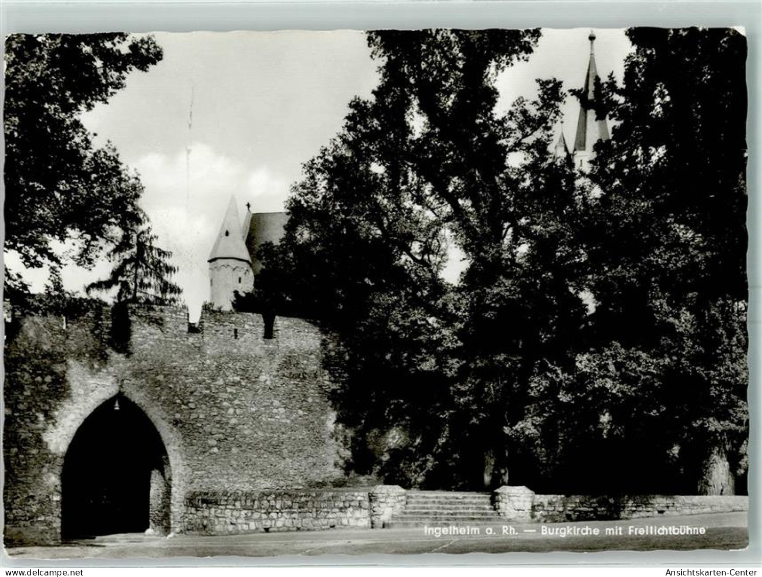 10423285 - Ingelheim am Rhein