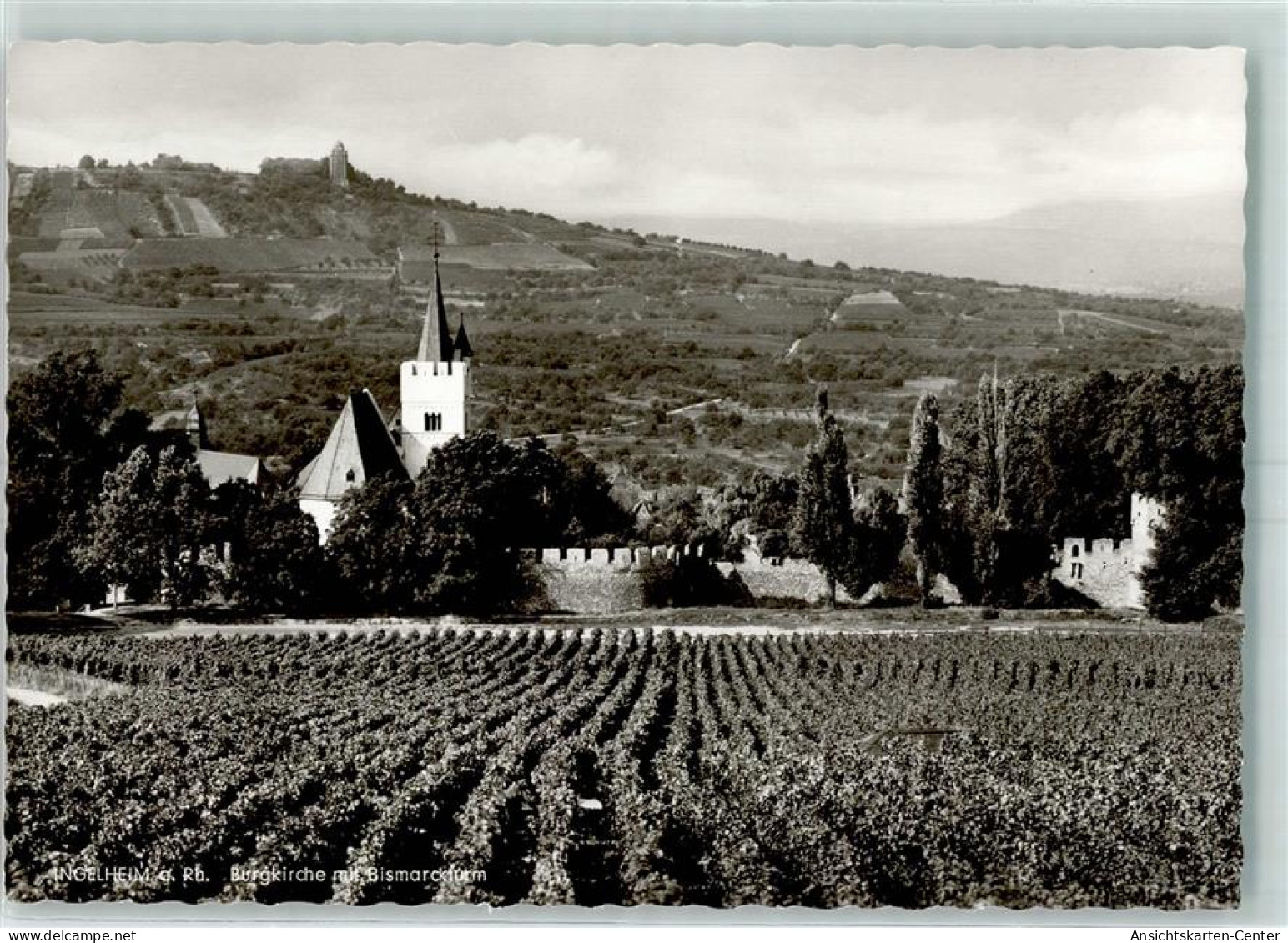 10423286 - Ingelheim am Rhein