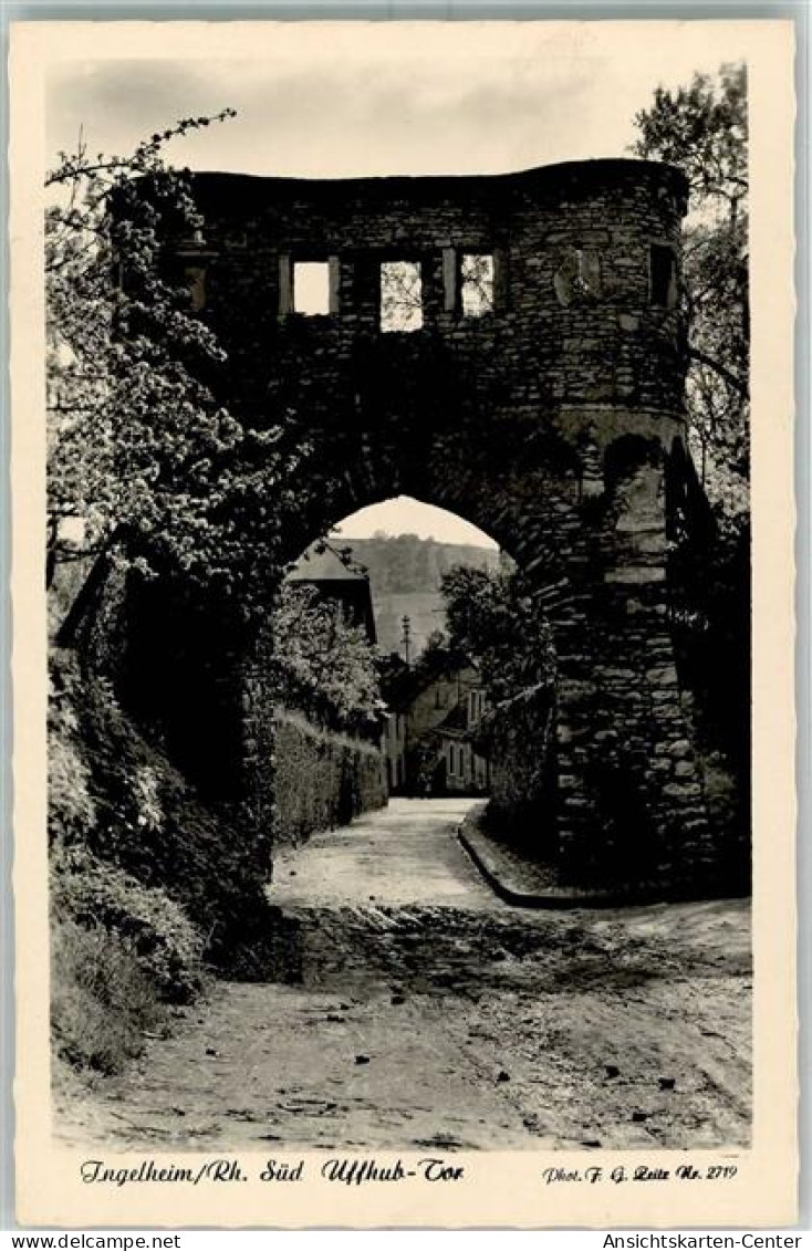 10423428 - Ingelheim am Rhein