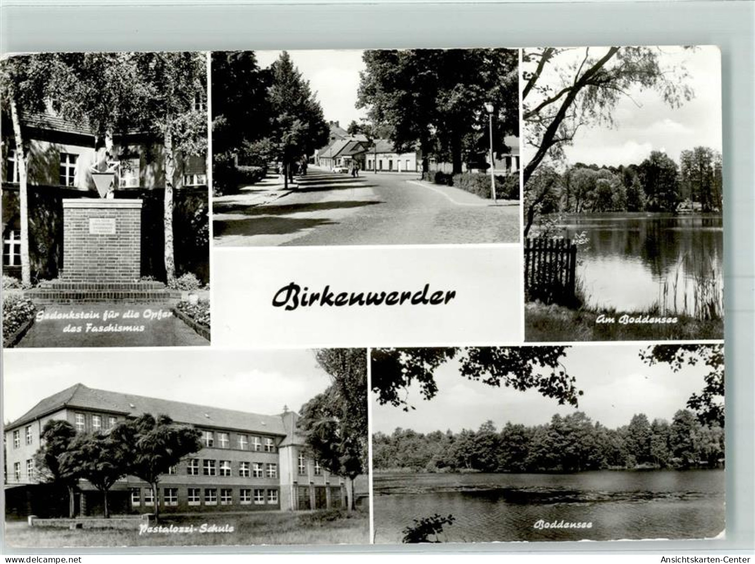 10425827 - Birkenwerder