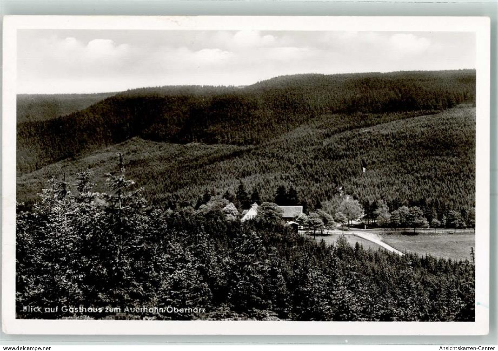 10427031 - Auerhahn , Oberharz