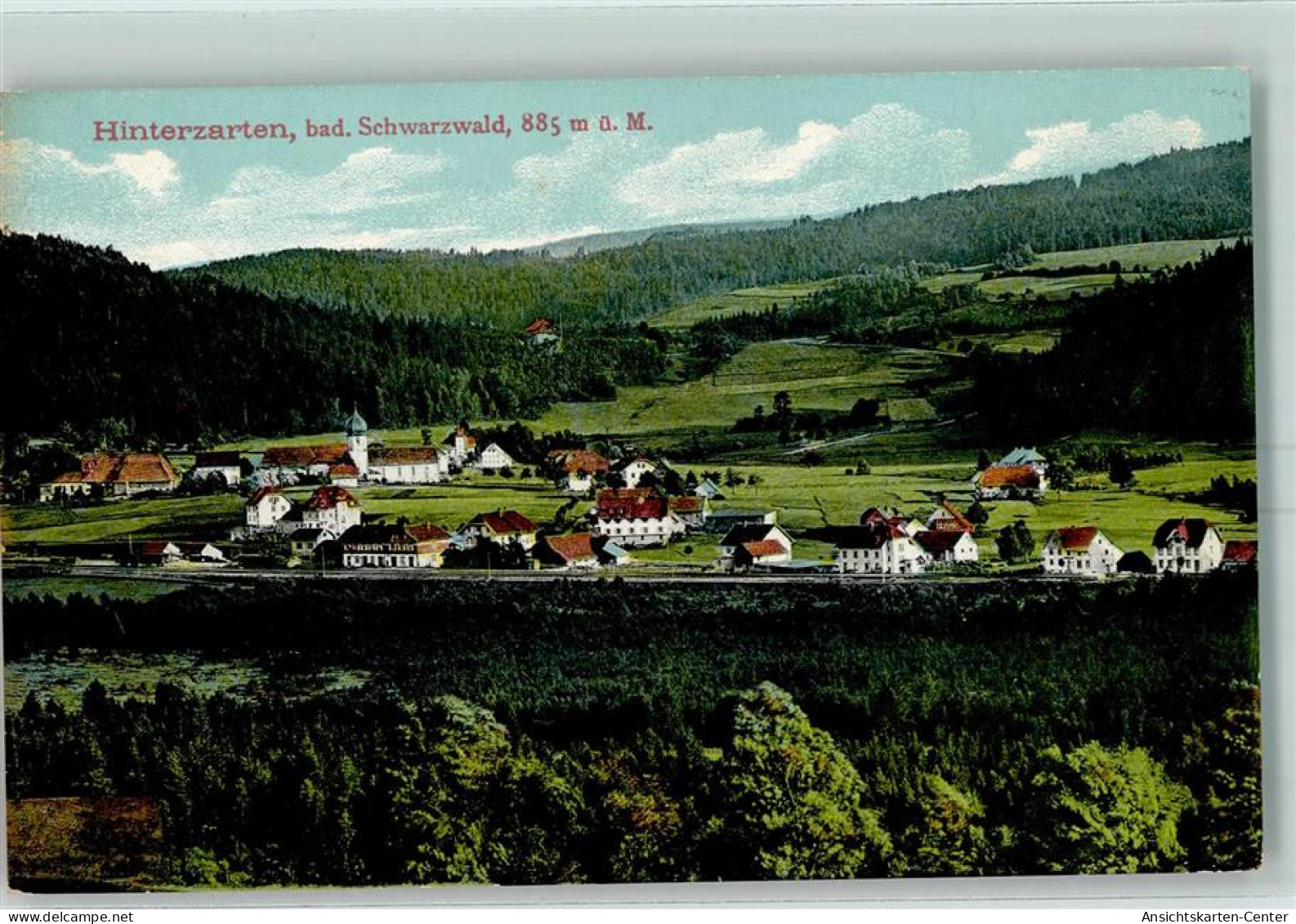 10429588 - Hinterzarten