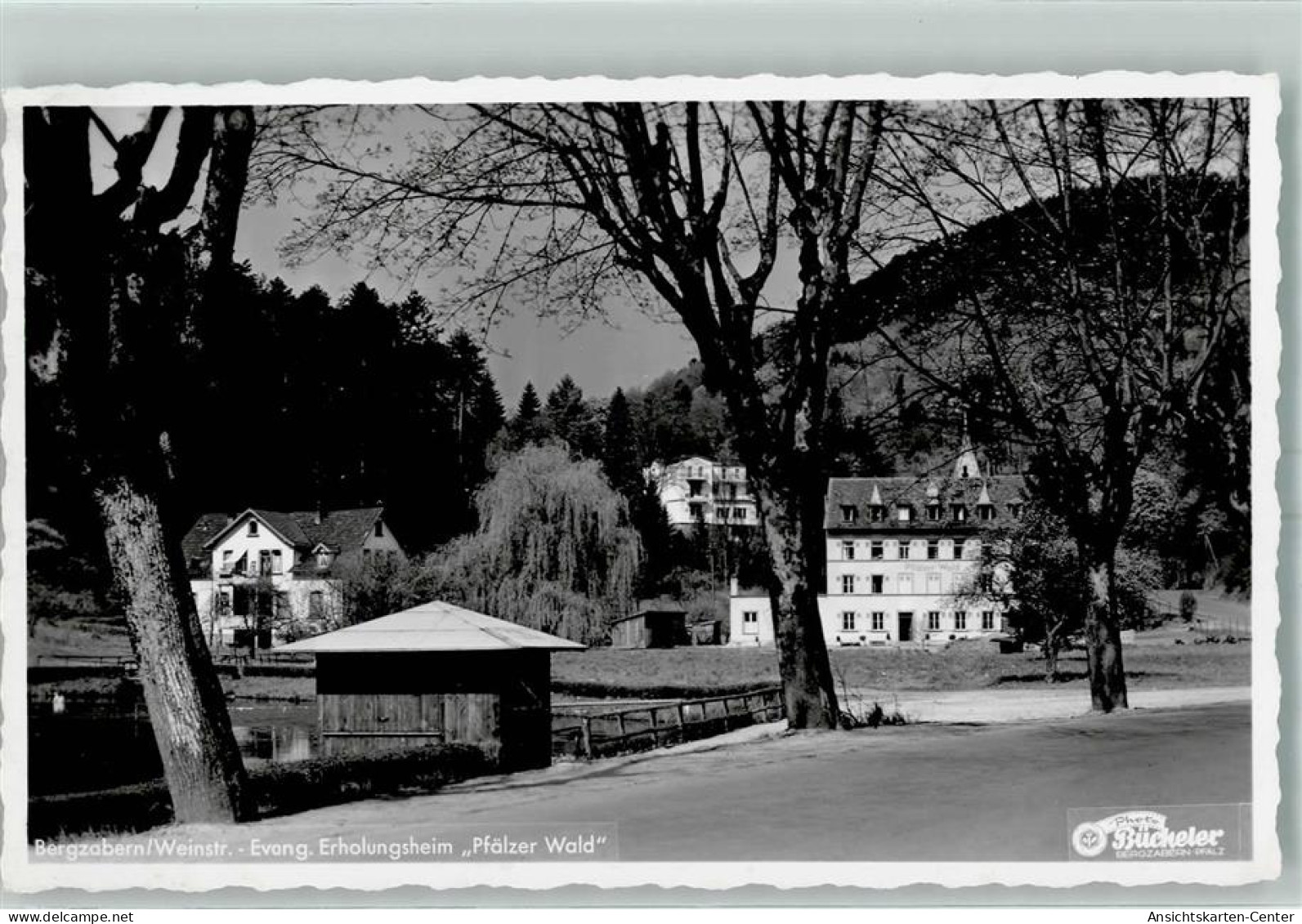 10437117 - Bad Bergzabern