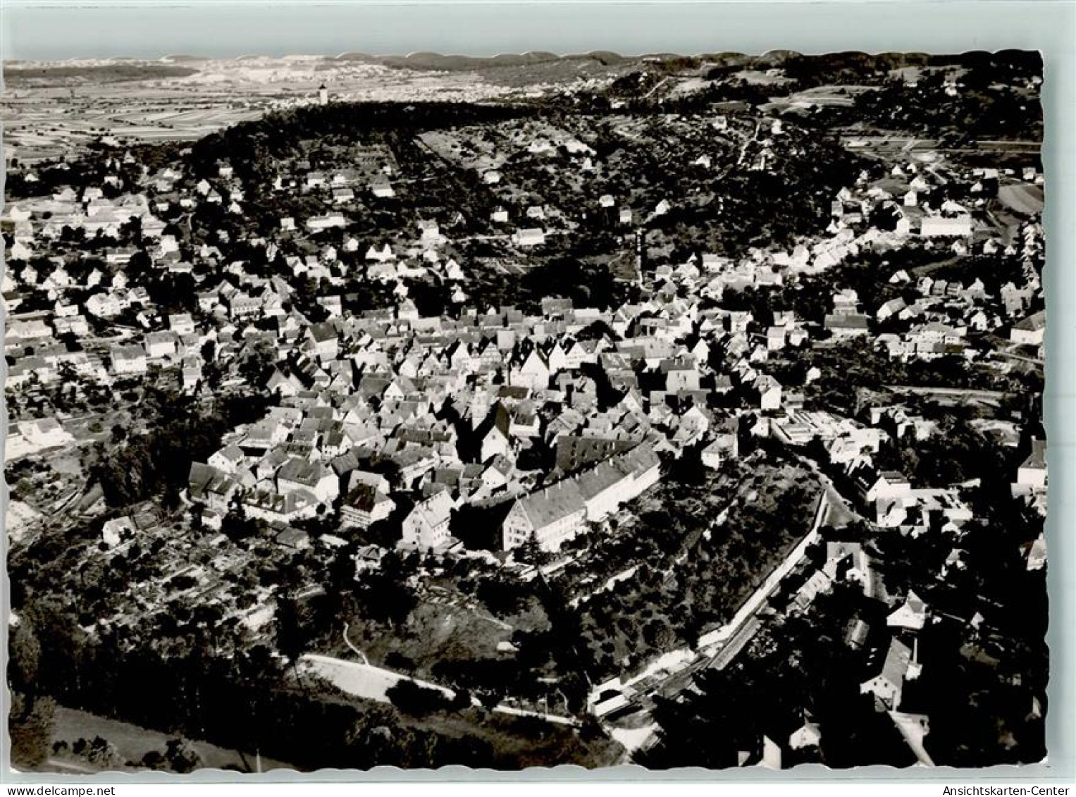 10439977 - Leonberg , Wuertt