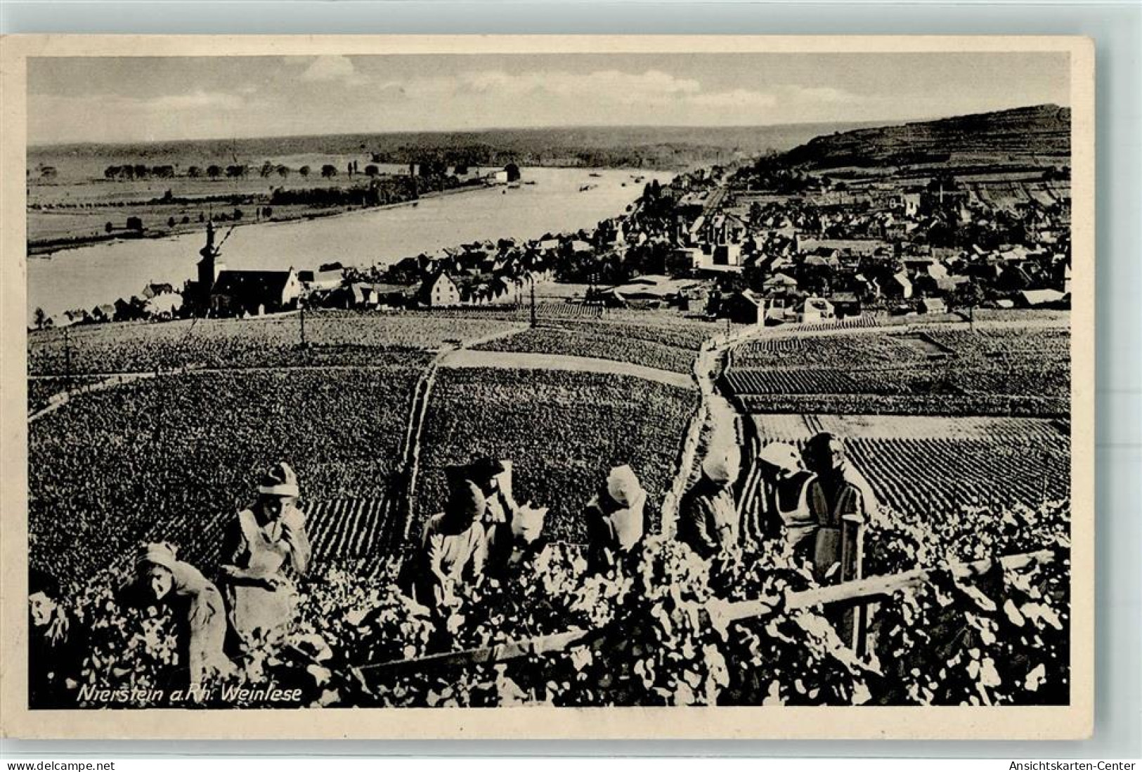 10440694 - Nierstein