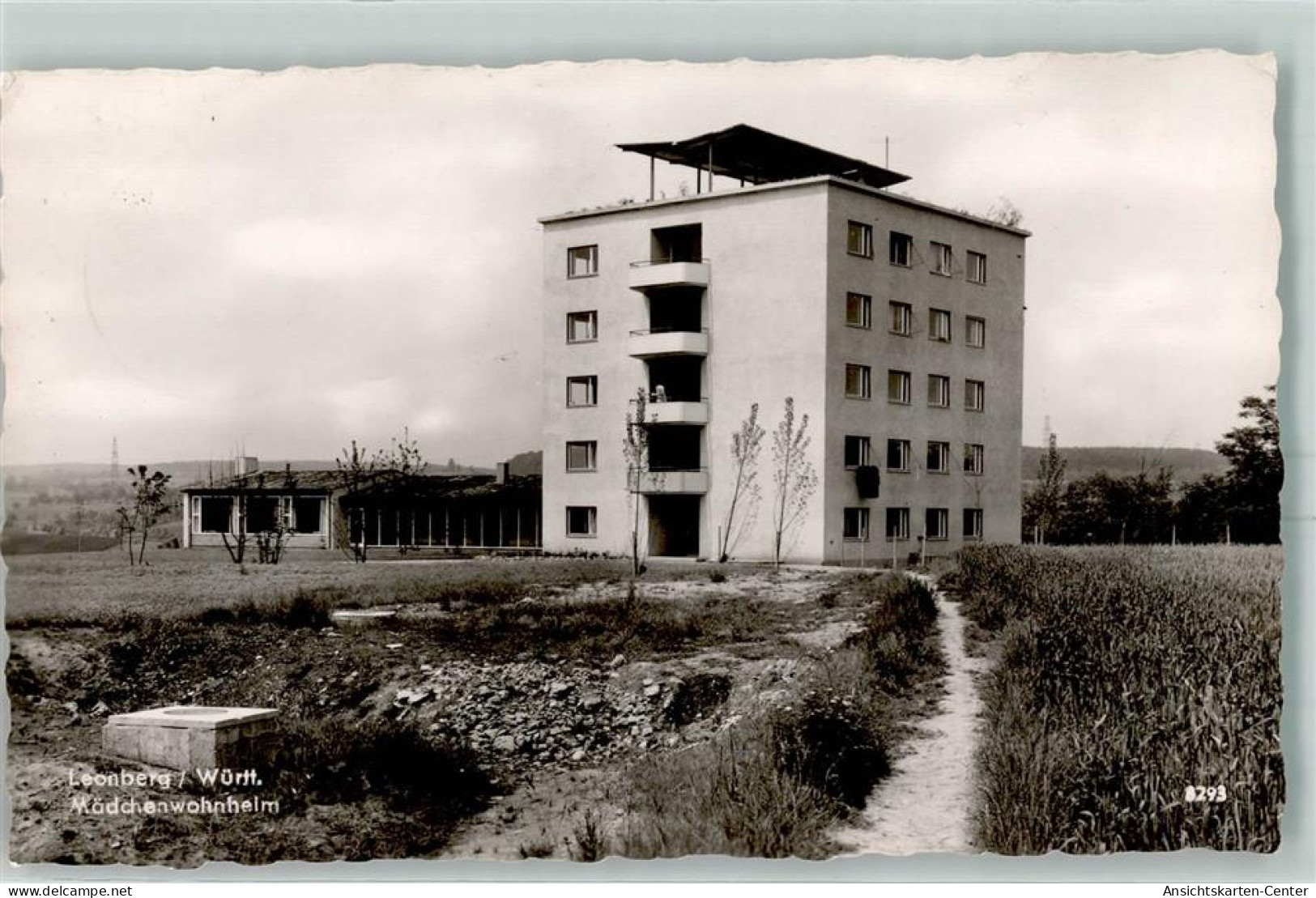 10441666 - Leonberg , Wuertt