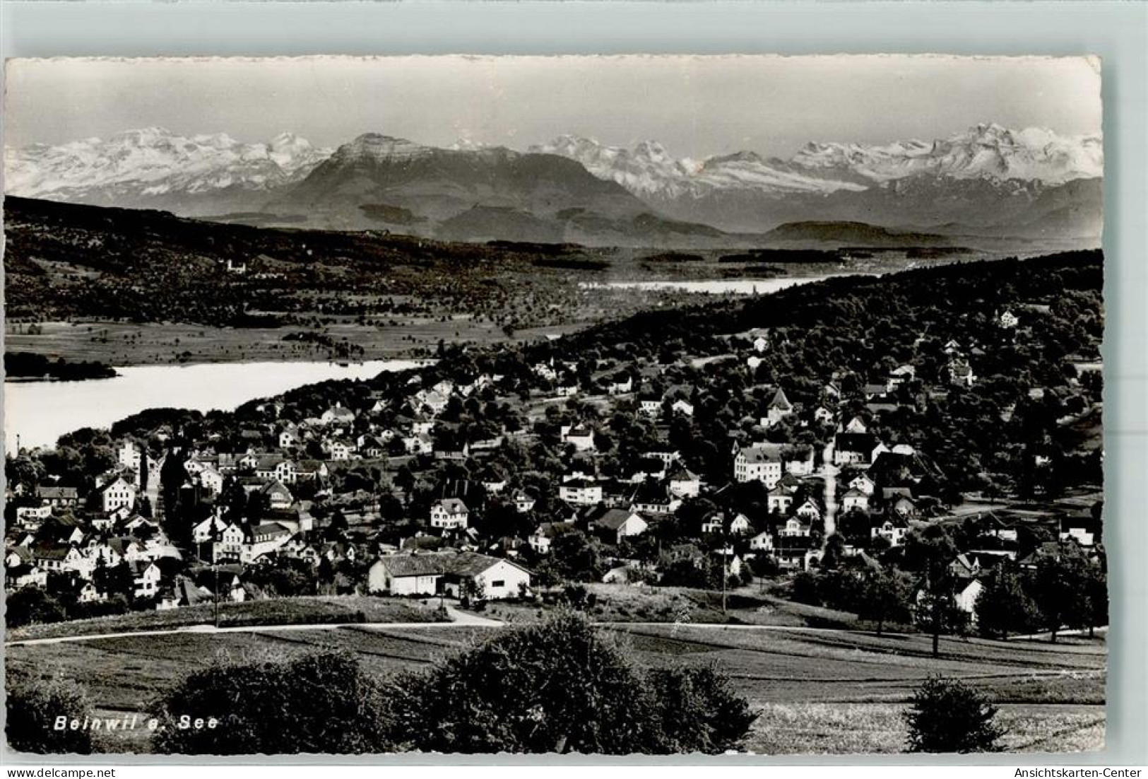 10446157 - Beinwil am See