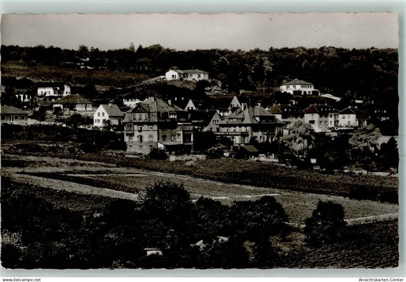 10448749 - Gruenstadt