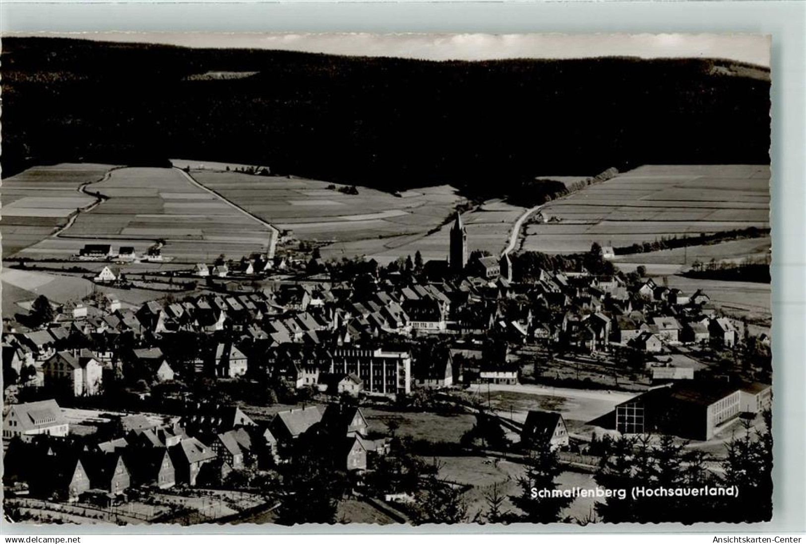 10449383 - Schmallenberg