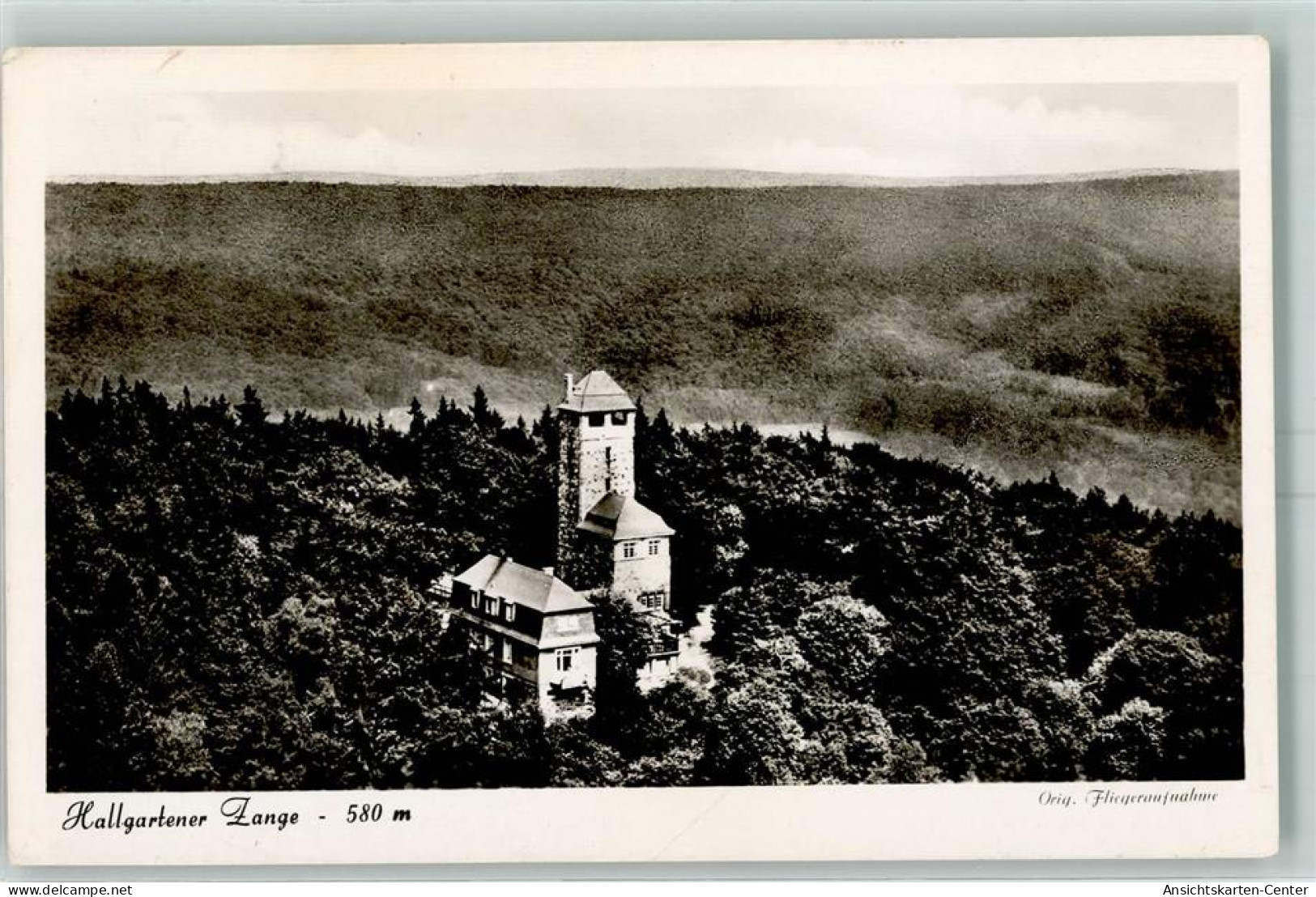 10451132 - Hattenheim , Rheingau