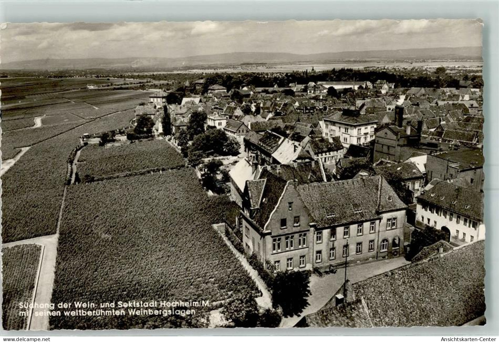 10451139 - Hochheim am Main