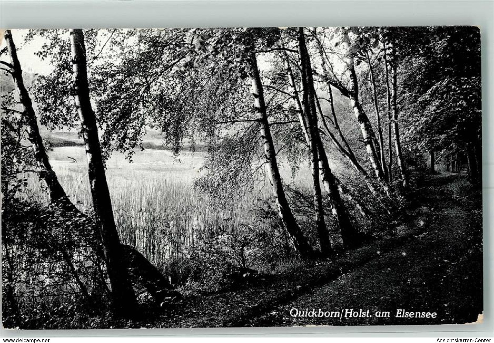 10451846 - Quickborn , Dithm