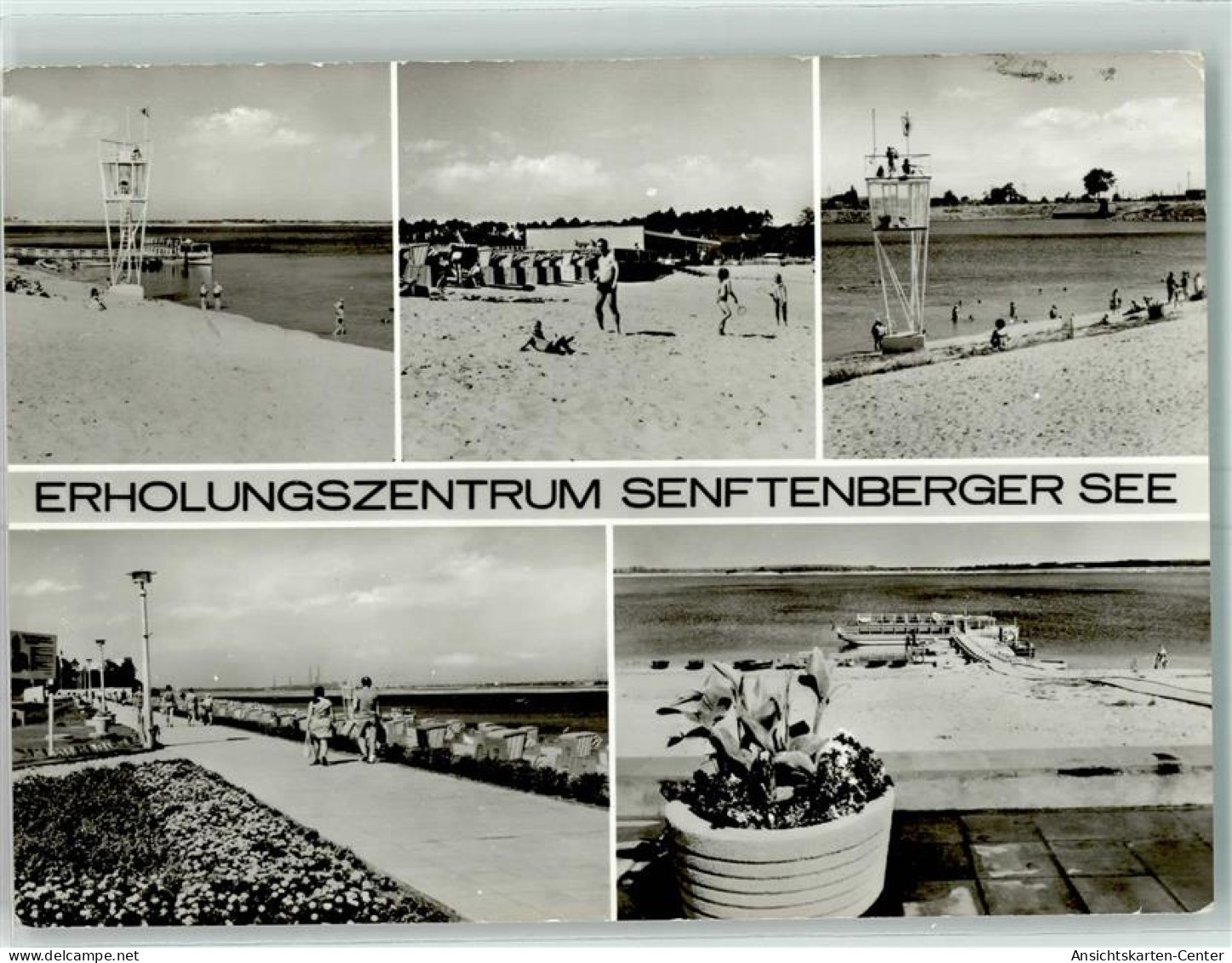 10454947 - Senftenberg