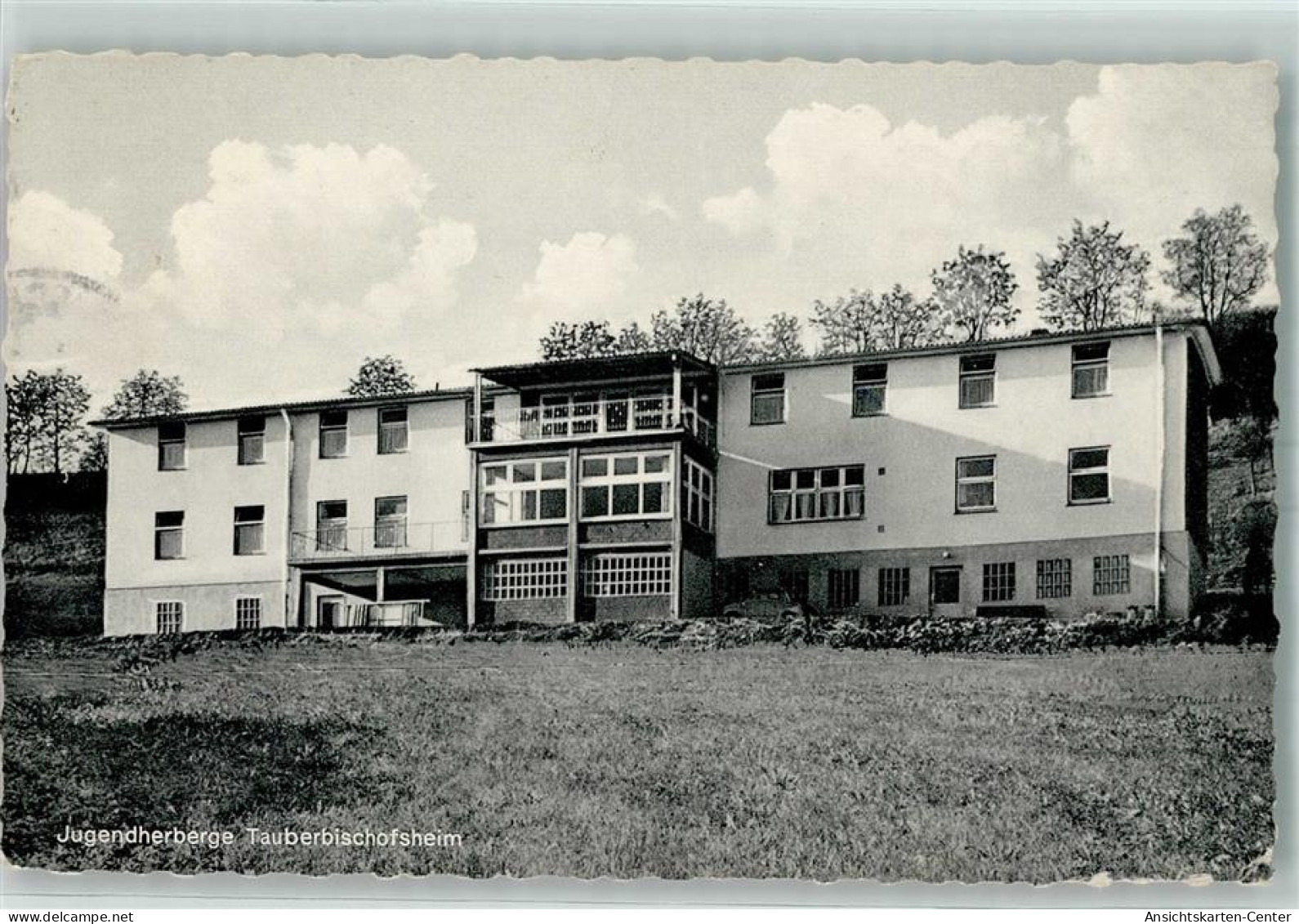 10456640 - Tauberbischofsheim