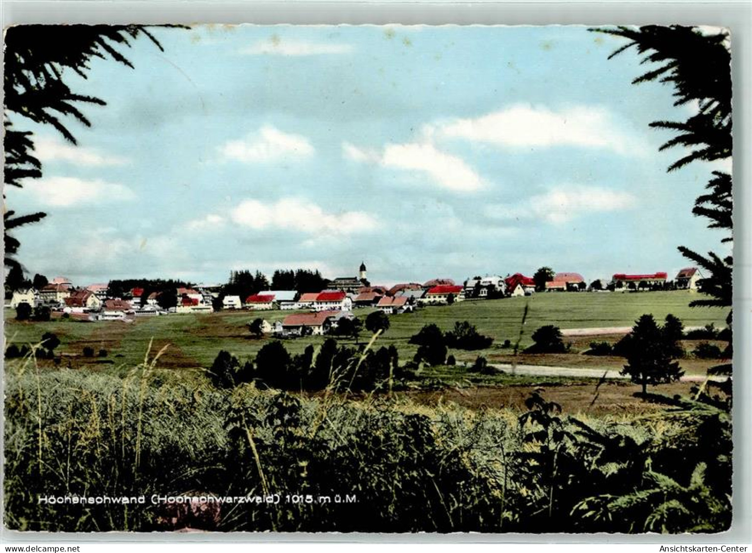 10456787 - Hoechenschwand