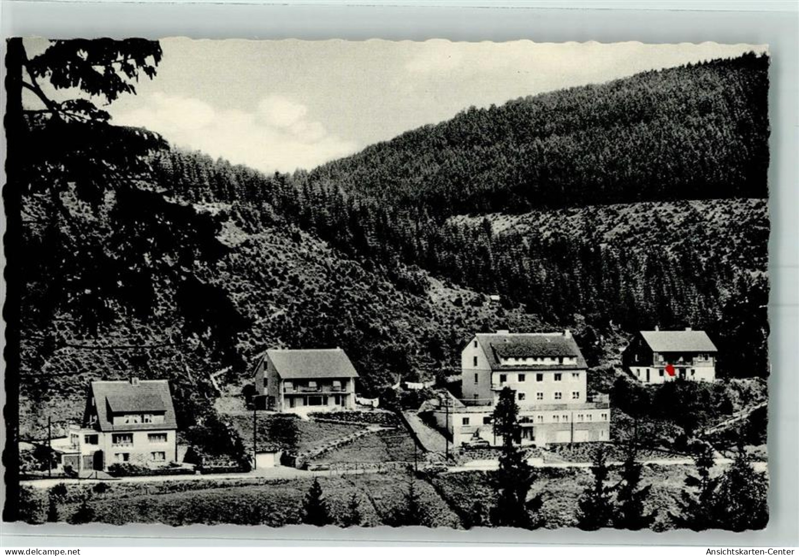 10458247 - Wildemann