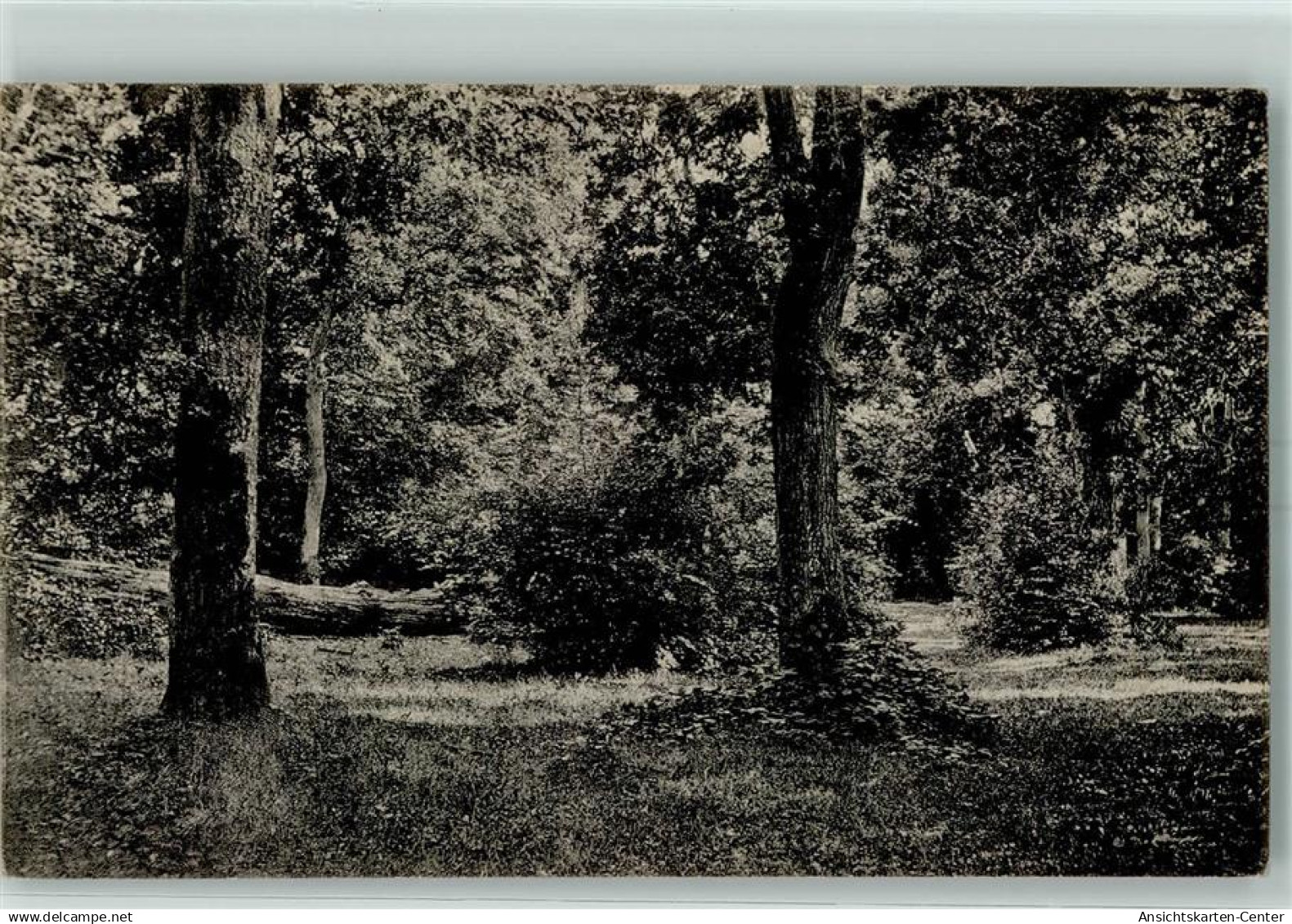 10462484 - Varel , Jadebusen