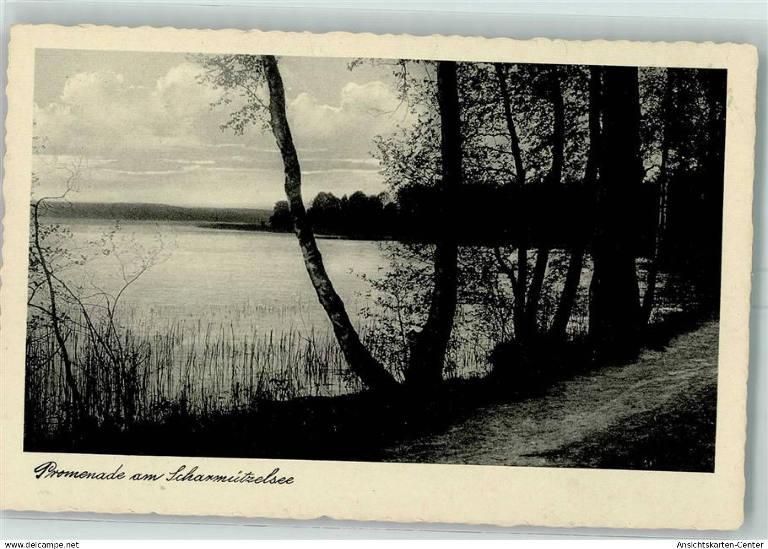 10464410 - Bad Saarow