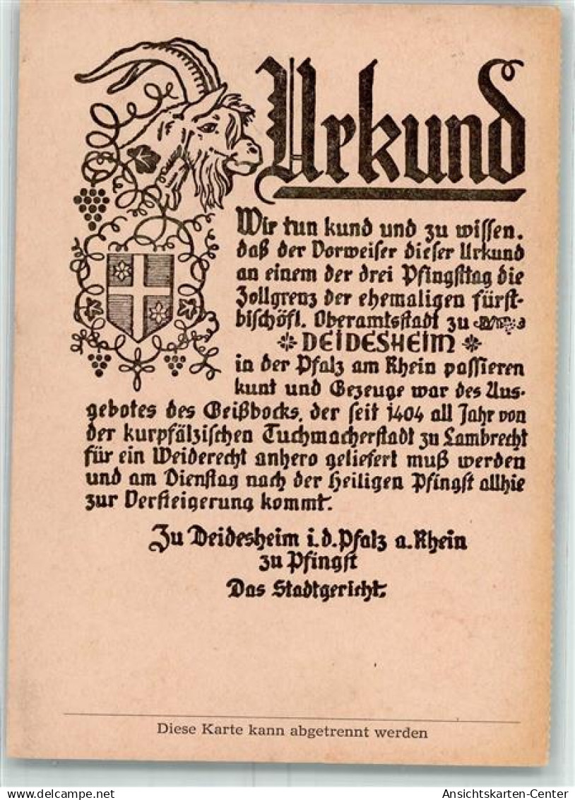 10464544 - Deidesheim