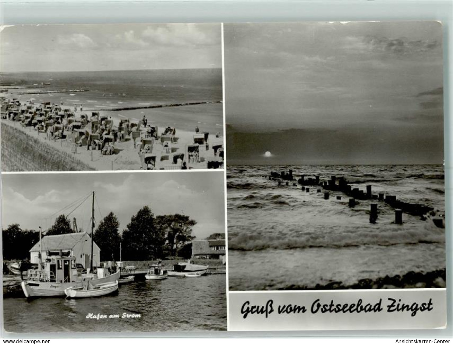 10465827 - Zingst , Ostseebad