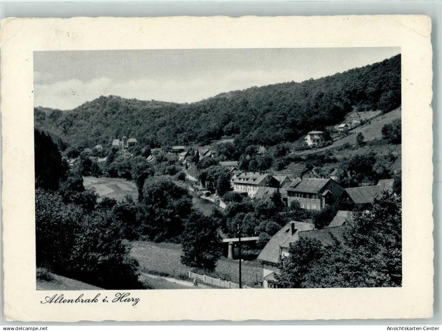 10466925 - Altenbrak