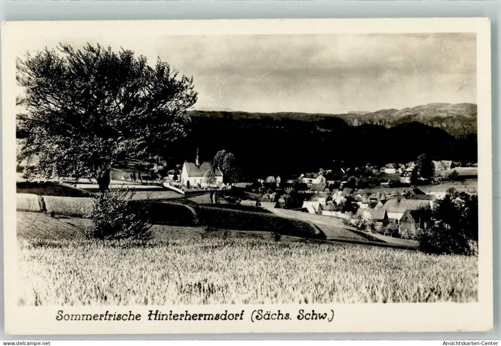 10468617 - Hinterhermsdorf