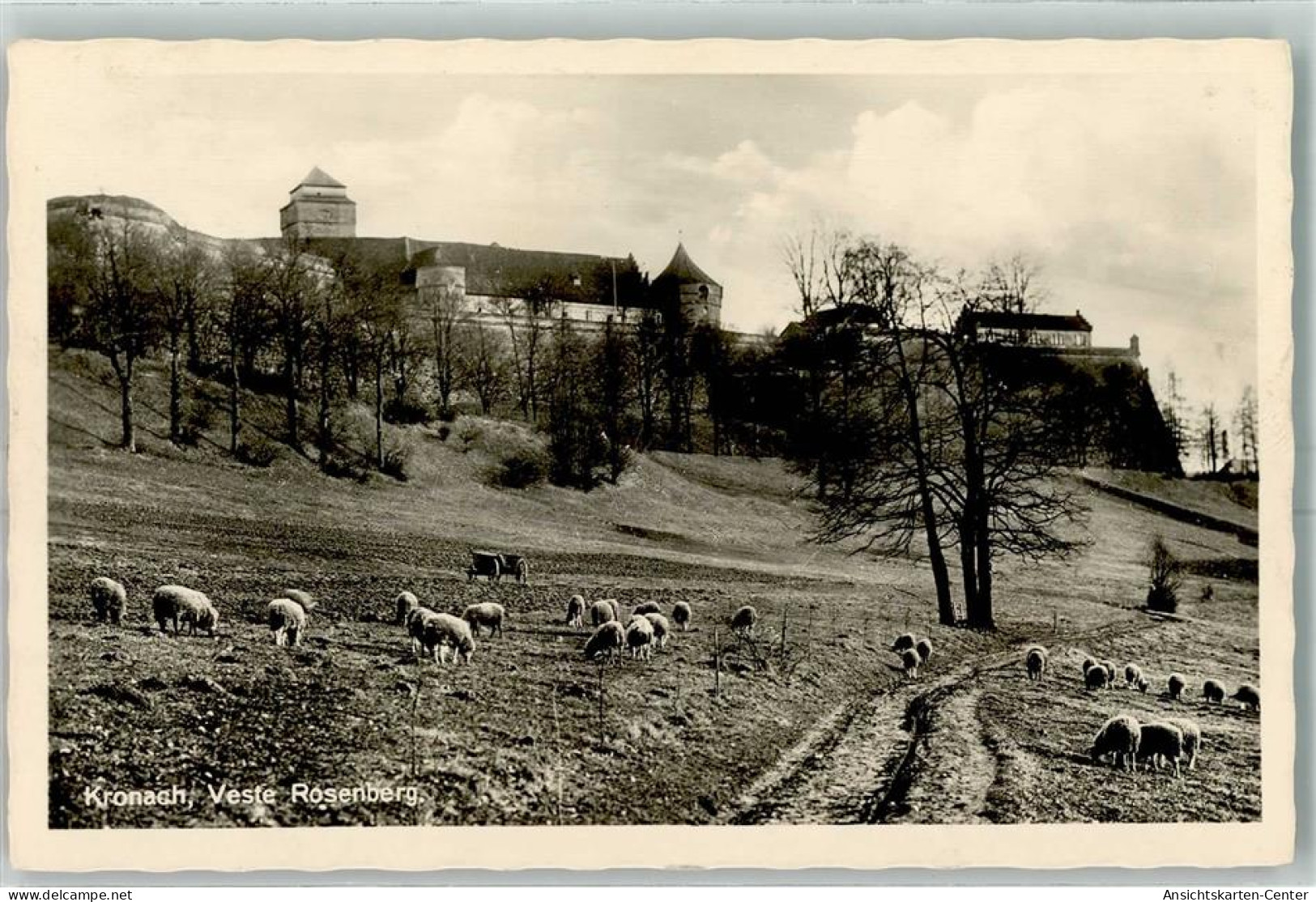 10469726 - Kronach , Oberfr