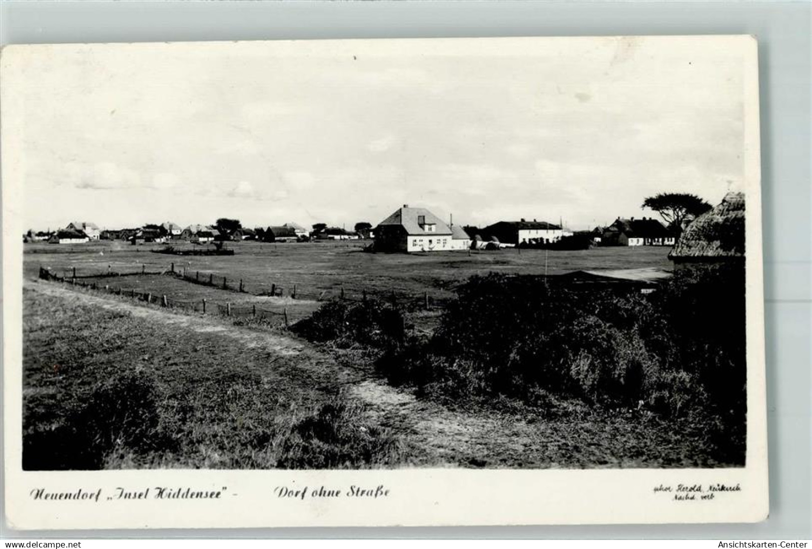 10476374 - Neuendorf b Grimmen